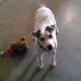 Joe Glisson - Facebook