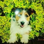 Joe goddard - @goddard3490 - Instagram