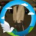 Joe Goins - Facebook