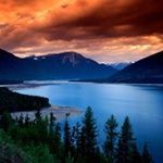 Joe Goins - @goins_joe - Instagram