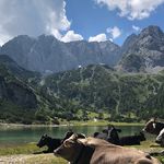 Joe Graf - @_joegraf_ - Instagram