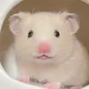 Joe Grammar - @jogrammar - TikTok