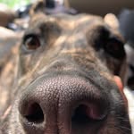Joe Grantham - @someone_1365 - Instagram
