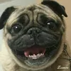 joe grantham - @joegrantham - TikTok