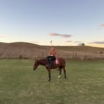 Joe Gray - @joemtgray - Instagram