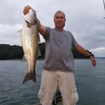 Joe Gribble - @joe.gribble.16 - Instagram