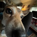 Joey Gunning - Facebook