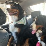 Joe Haas - @jpaulhaas - Instagram