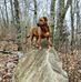 Joe Haase - Facebook