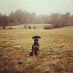 Joe Hamblin - @_jrhamblin_ - Instagram