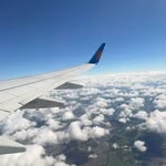Joe hamblin - @joe_hamblin37 - Instagram