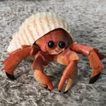 Joe Harbor - @joe.harbor - Instagram
