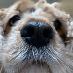 @joe._hare - Instagram