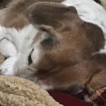 Joe Hare - @videohare - Instagram