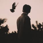 Joe Harry - @joharry.andrianaly - Instagram