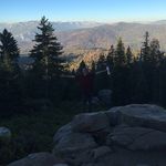Joey Harwell - @josephharwell - Instagram