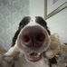 Joe Hatfield - Facebook