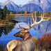 Joe Haubrich - Facebook