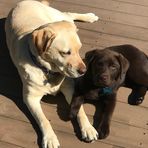 Joe Haven - Facebook
