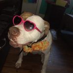 Joe Haven - Facebook