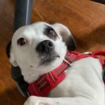 Joe Havermann - @joehavermann - Instagram