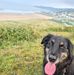 Joe Hayman - Facebook
