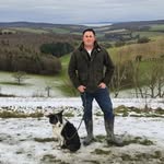 Joe Head - @joe_head_ - Instagram