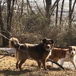 Joe Hecker - @hecker5542 - Instagram