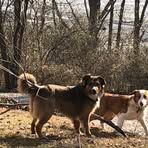 Joe Hecker - Facebook
