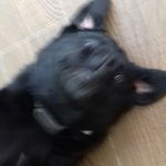 Joe Hedges - @joe_hedges1 - Instagram