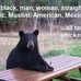 Joe Hedrick - Facebook
