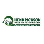 Hendrickson Tree Care Company - @joe.hendrickson33 - Instagram