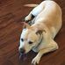 Joe Hepp - Facebook