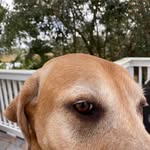 Joe Hightower - @jandlhightower - Instagram