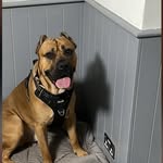 Joe Hills - @joe_hills_ - Instagram
