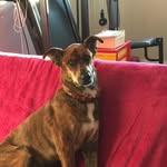 Joe Hofer - @joehofer66 - Instagram