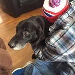 Joe Hofer - @hofer_joe - Instagram