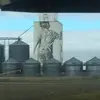 joehofer252 - @joehofer252 - TikTok