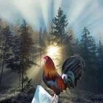 Joe Holley - @hhgamefarm - Instagram