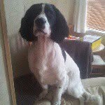 @joe.honeyman - Instagram