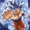 Kakarot - @joeyhonaker446 - TikTok