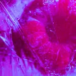 Joe Hooks - @joehooks676 - Instagram