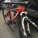 Joe Horner - @joe_h4567 - Instagram