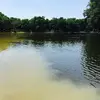 joehouck0 - @joe.houck1 - TikTok