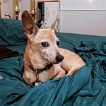 Joe Hubble - @hubblespacetoaster - Instagram