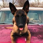 Joel Huff - @joe.huff.923 - Instagram