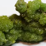joe huffman - @flatfish1414 - Instagram