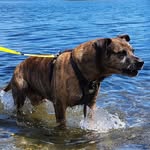 Joe Hummel - @hummeljoe - Instagram