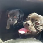 Joe & Jake - @joee_jake - Instagram