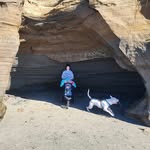 JoeJake Primeau - @joejakeprimeau - Instagram